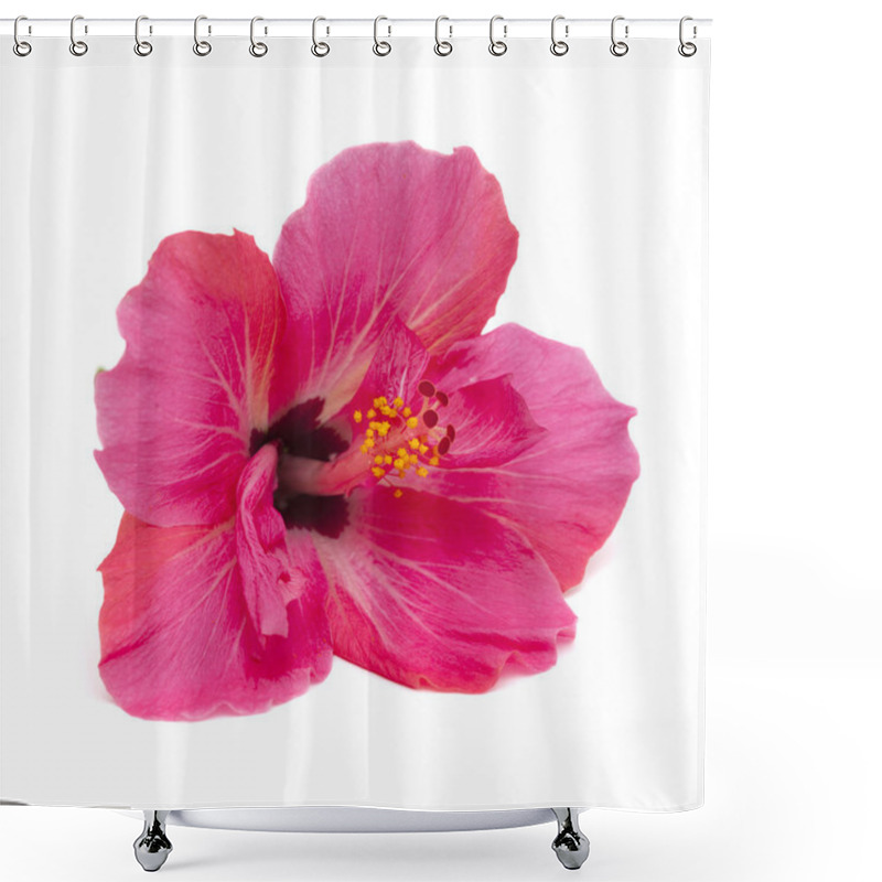 Personality  Pink Hibiscus Flower Isolated Shower Curtains