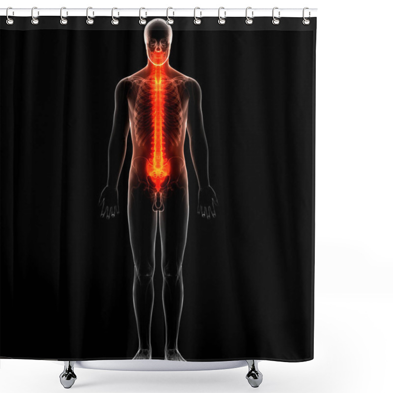 Personality  Vertebral Column Thoracic Vertebrae Of Human Skeleton System Anatomy. 3D - Illustration Shower Curtains