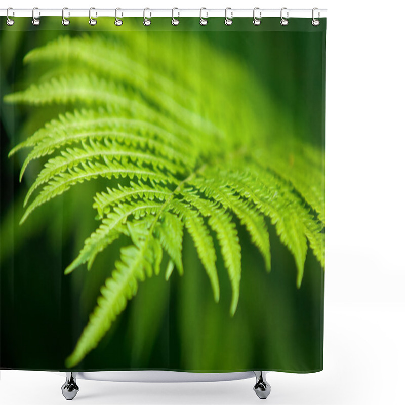 Personality  Fern, Brake Shower Curtains