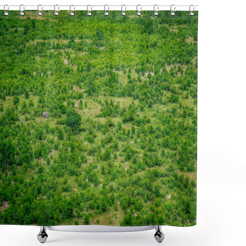 Personality  Aerial View Of An Elephant In The Okavango. Shower Curtains