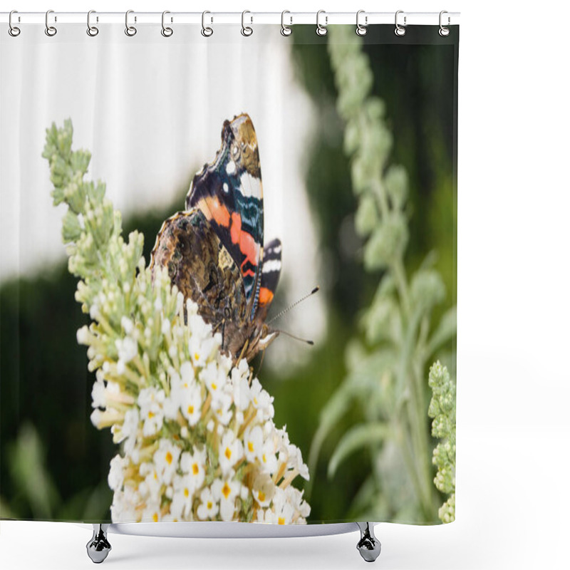 Personality  Buddleja Davidii The Butterfly Bush Shower Curtains