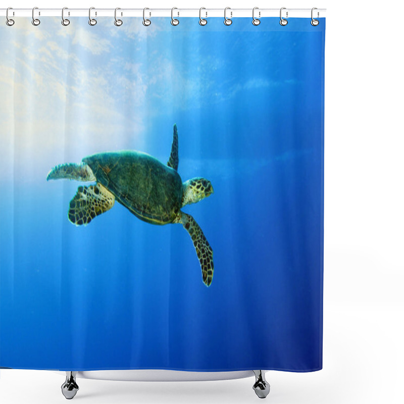 Personality  Green Turtle Shower Curtains