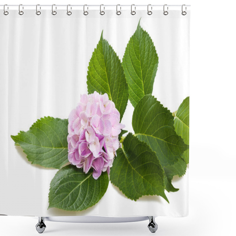 Personality  Hortensia Shower Curtains