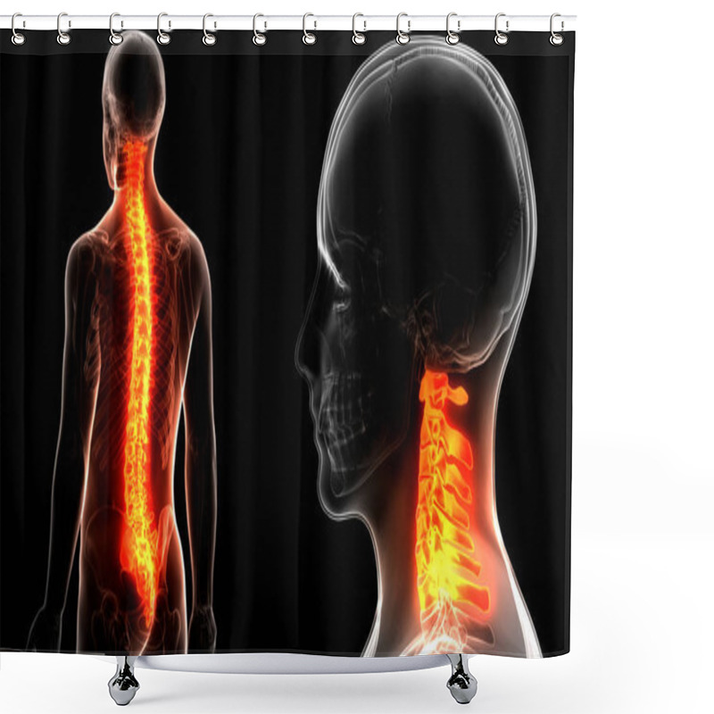 Personality  Vertebral Column Thoracic Vertebrae Of Human Skeleton System Anatomy. 3D - Illustration Shower Curtains