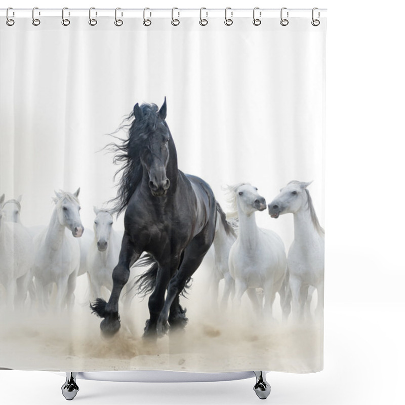 Personality  Black Stallion And White Horses Shower Curtains