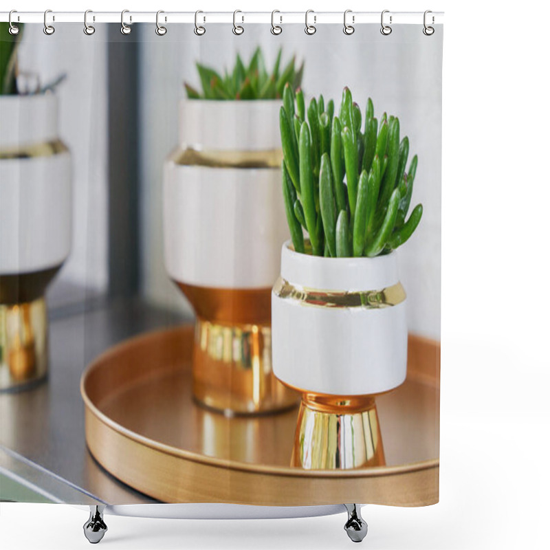 Personality  Succulent Plants In Modern Stylish Gold And White Pots On A Golden Tray, Creating A Modern Home Decor Shower Curtains