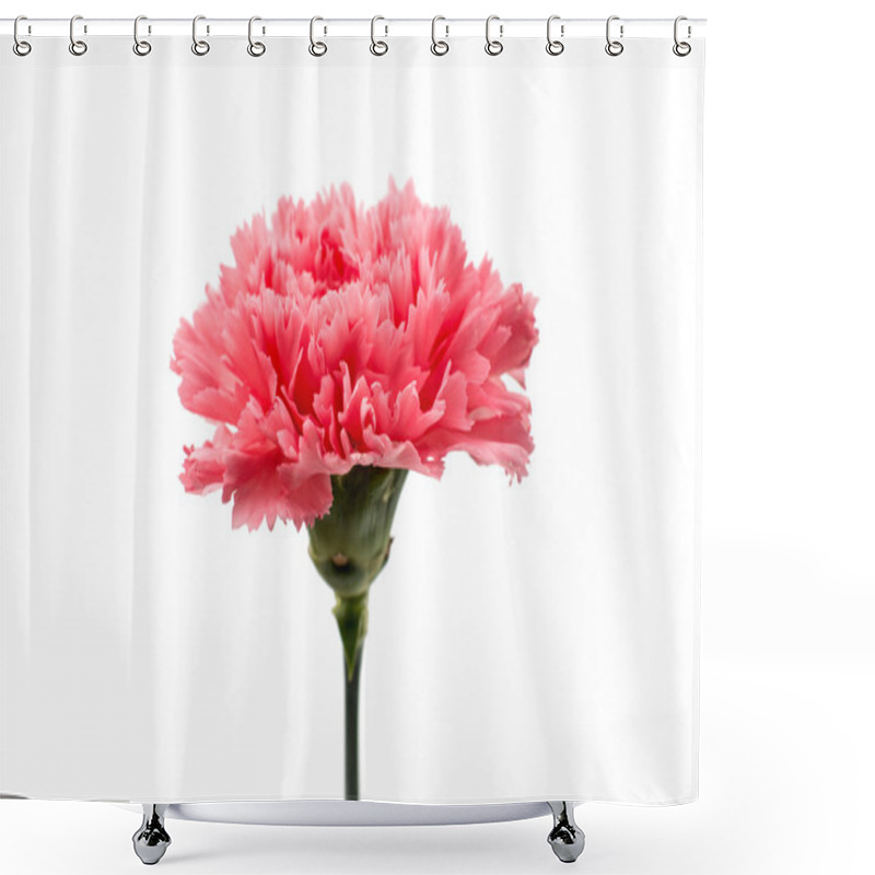 Personality  Beautiful Carnation Flower Shower Curtains