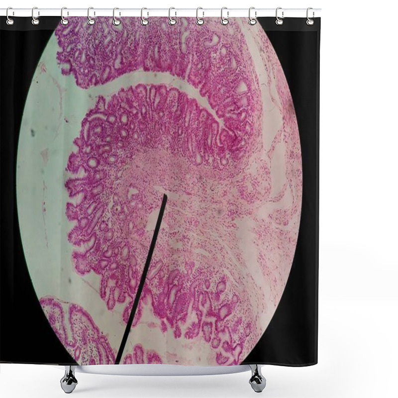 Personality  Close Up Human Cells With Microscope. Shower Curtains