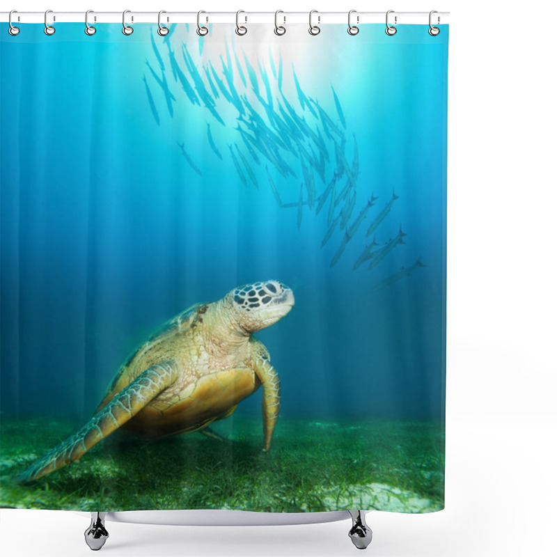 Personality  Sea Turtle Deep Underwater Shower Curtains