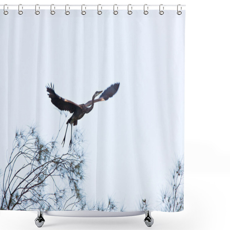 Personality  Great Blue Heron Taking Flight From Florida Tree Shower Curtains