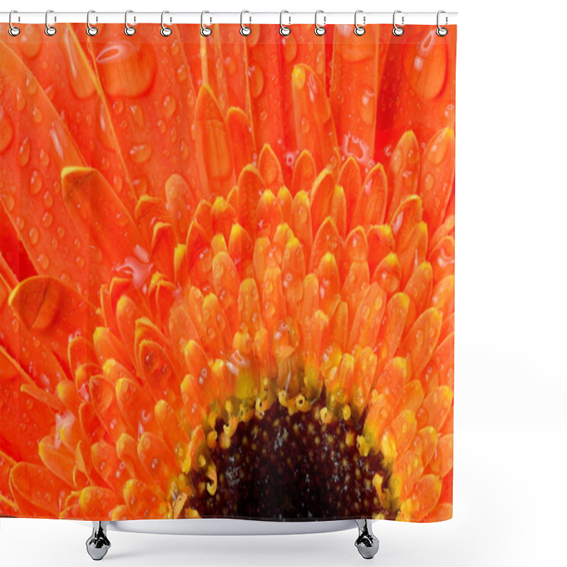 Personality  Red Flower Detail Shower Curtains