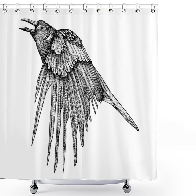 Personality  Stylized Hand Drawing Crow Sketch Shower Curtains