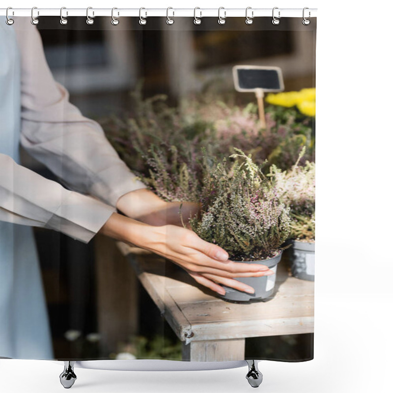 Personality  Cropped View Of Florist Touching Pot With Heather In Sunshine Shower Curtains