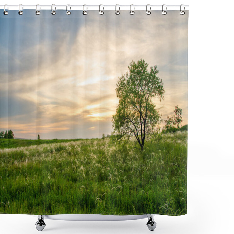 Personality  Summer Crimson Sunset. Sky Crimson. Maroon Clouds On Sunset. Green Carpet At Sunset. Shower Curtains