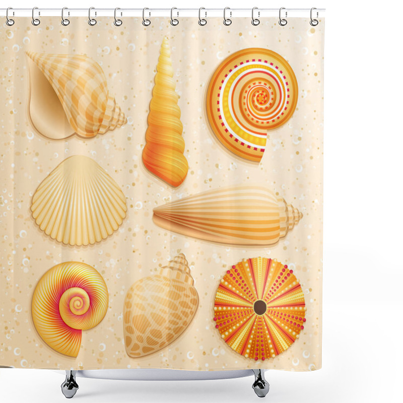 Personality  Seashell Collection On Sand Background Shower Curtains