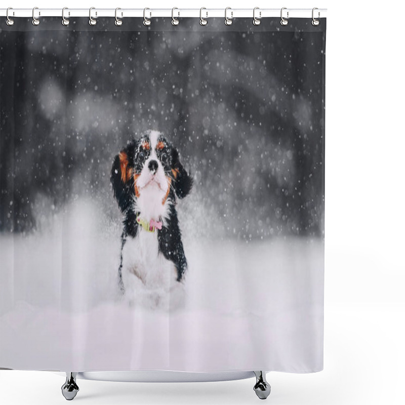 Personality  Cavalier King Charles Spaniel Runs In The Snow Shower Curtains