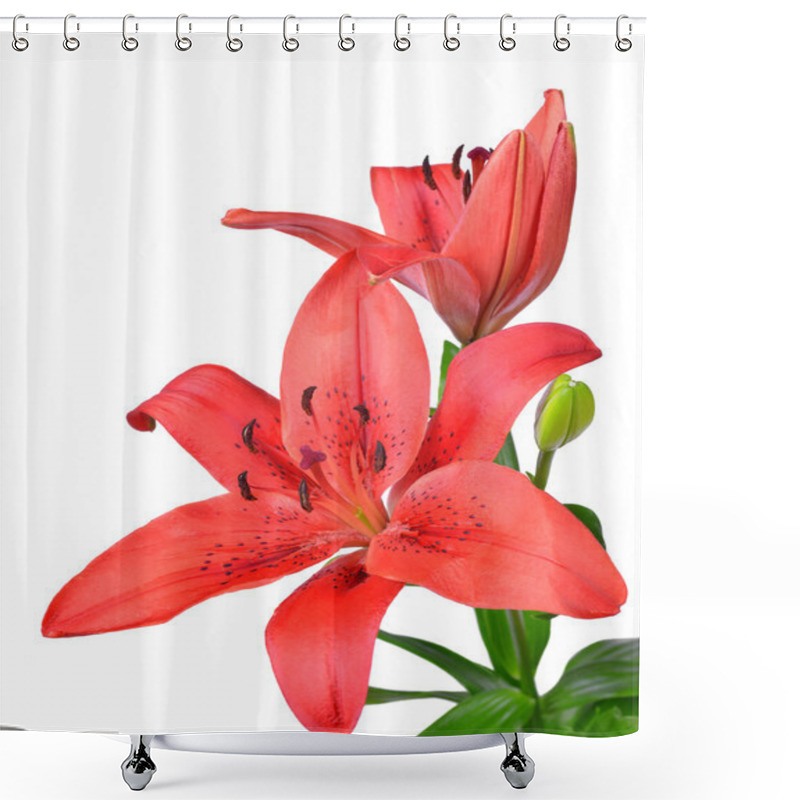 Personality  Red Lily Shower Curtains