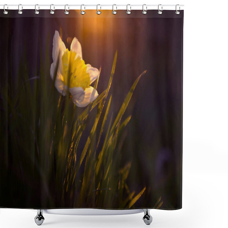 Personality  Beautiful Yellow Flowers In The Spring Shower Curtains