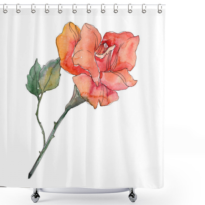 Personality  Red Orange Rose Floral Botanical Flower. Wild Spring Leaf Wildflower Isolated. Watercolor Background Illustration Set. Watercolour Drawing Fashion Aquarelle. Isolated Rose Illustration Element. Shower Curtains