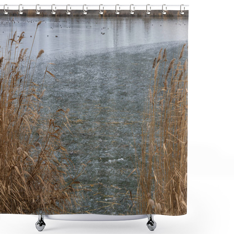 Personality  Reeds Growing Out Of The Water On A Frozen Lake Shower Curtains