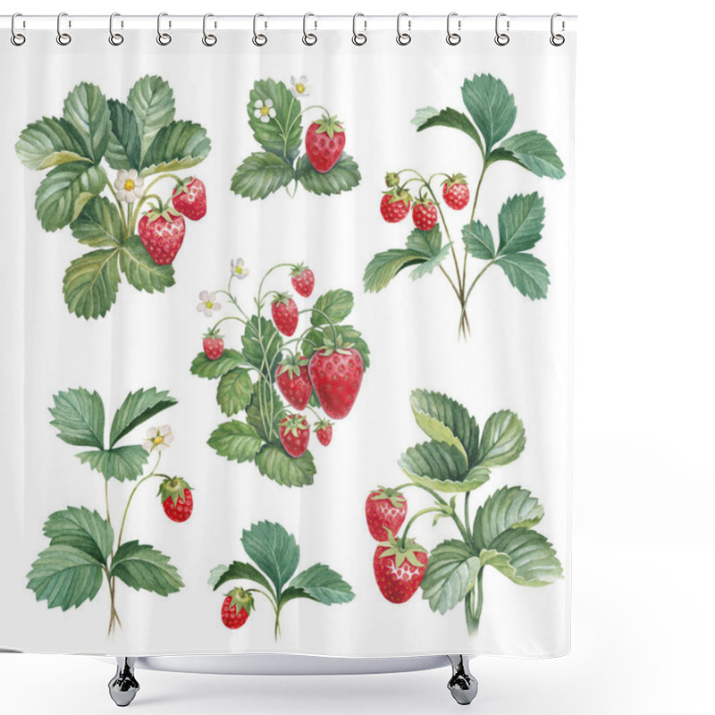 Personality  Branches Of Ripe Strawberries  Shower Curtains