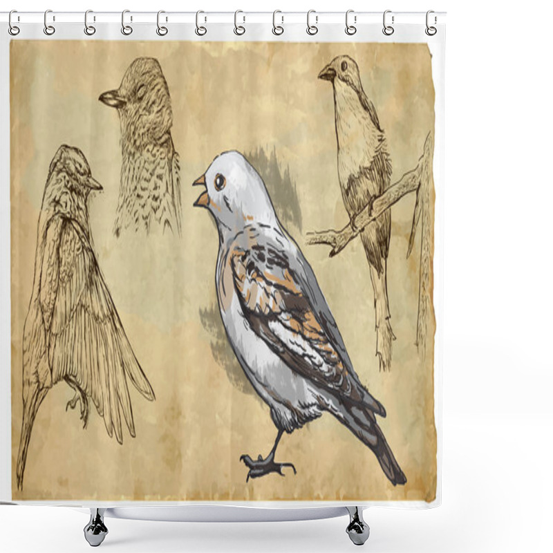 Personality  Animals, Theme: SONGBIRDS Shower Curtains