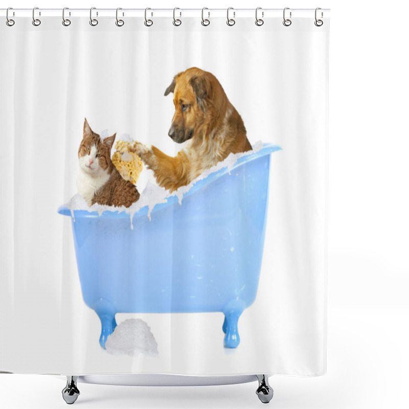 Personality  Cat Wash Shower Curtains