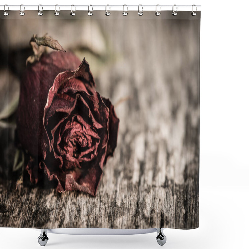 Personality  Closeup Dried Red Rose, Dead Red Rose On Wooden Background Shower Curtains