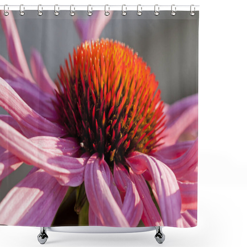 Personality  Beauty Blossoming Plant At Daytime Shower Curtains