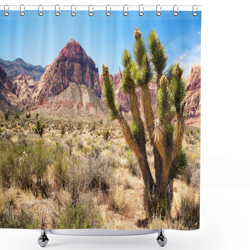 Personality  Joshua Tree In Red Rock Canyon Shower Curtains