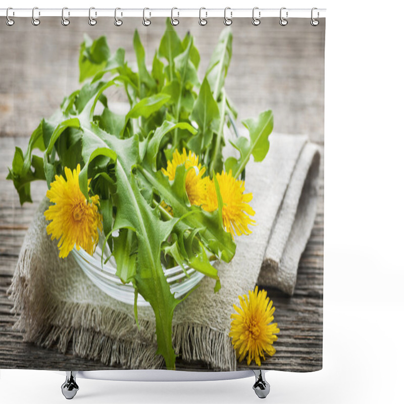 Personality  Dandelions Greens And Flowers Shower Curtains