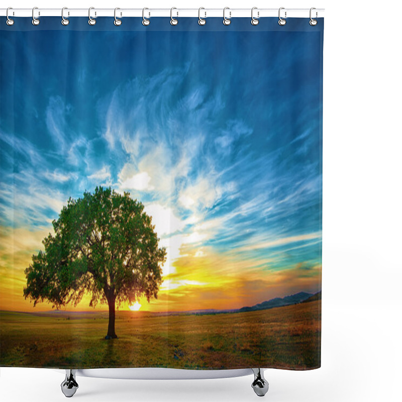 Personality  Oak Tree Shower Curtains