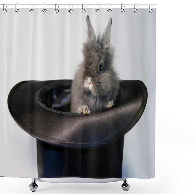 Personality  Rabbit Bunny In Top Hat  Shower Curtains