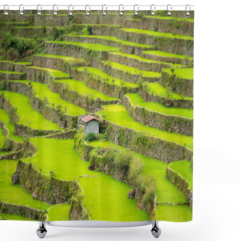 Personality  Rice Terraces In The Philippines. Rice Cultivation In The North  Shower Curtains