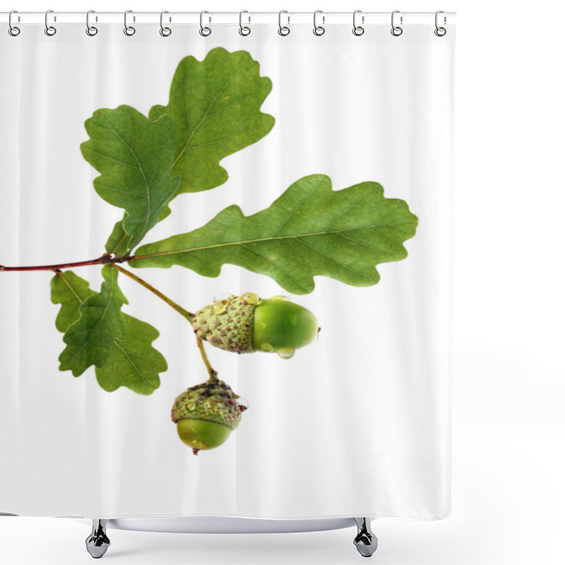 Personality  Oak Branch With Acorns Shower Curtains