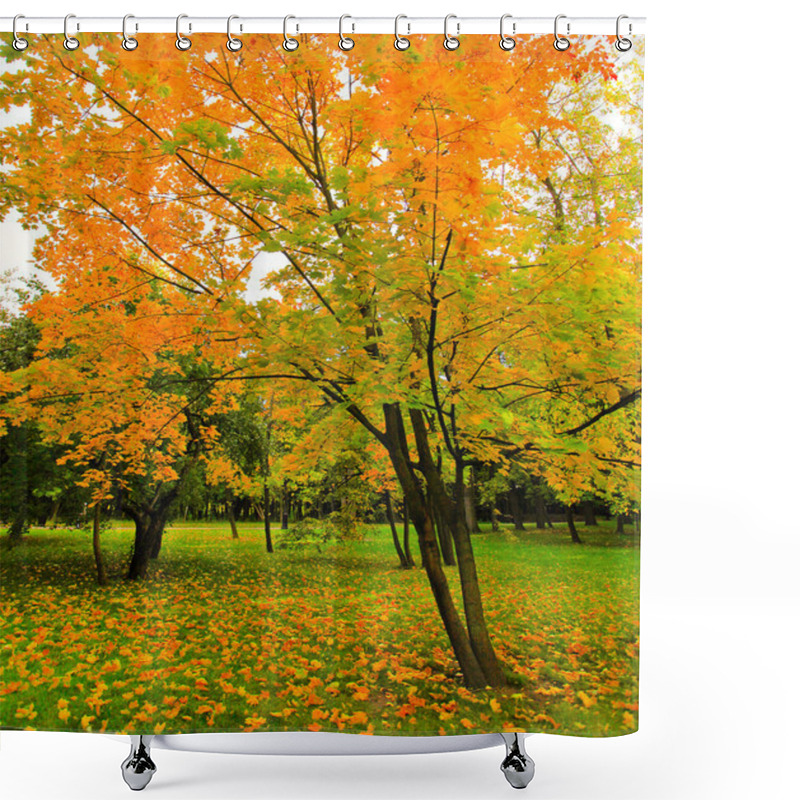 Personality  Beautiful Autumnal Forest Shower Curtains