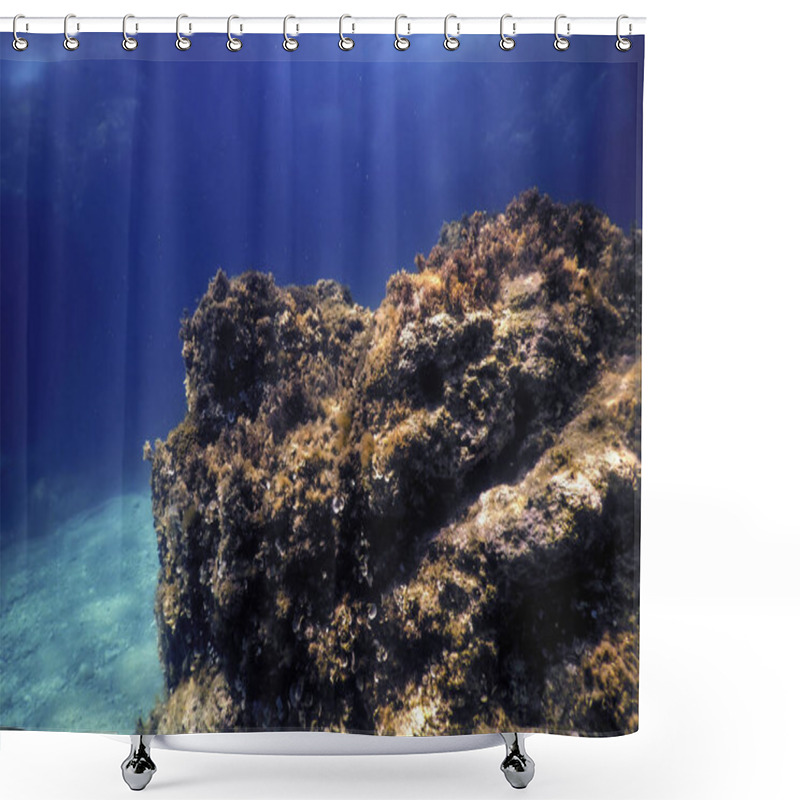 Personality  Rocks At Bottom Of Ocean Floor, Underwater Life Shower Curtains