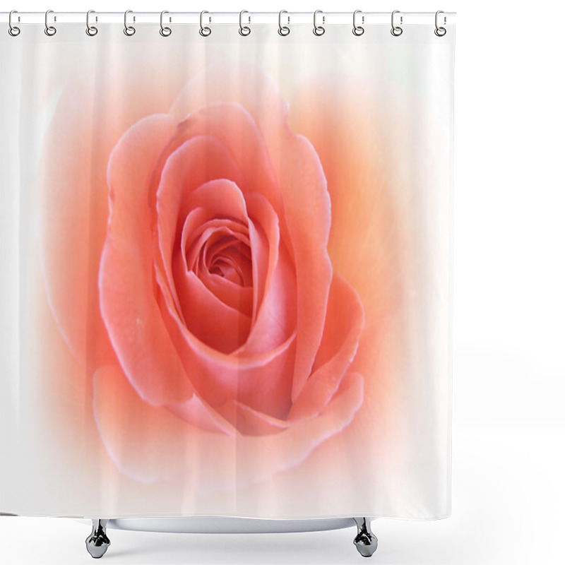 Personality  Beautiful Pink Rose Shower Curtains