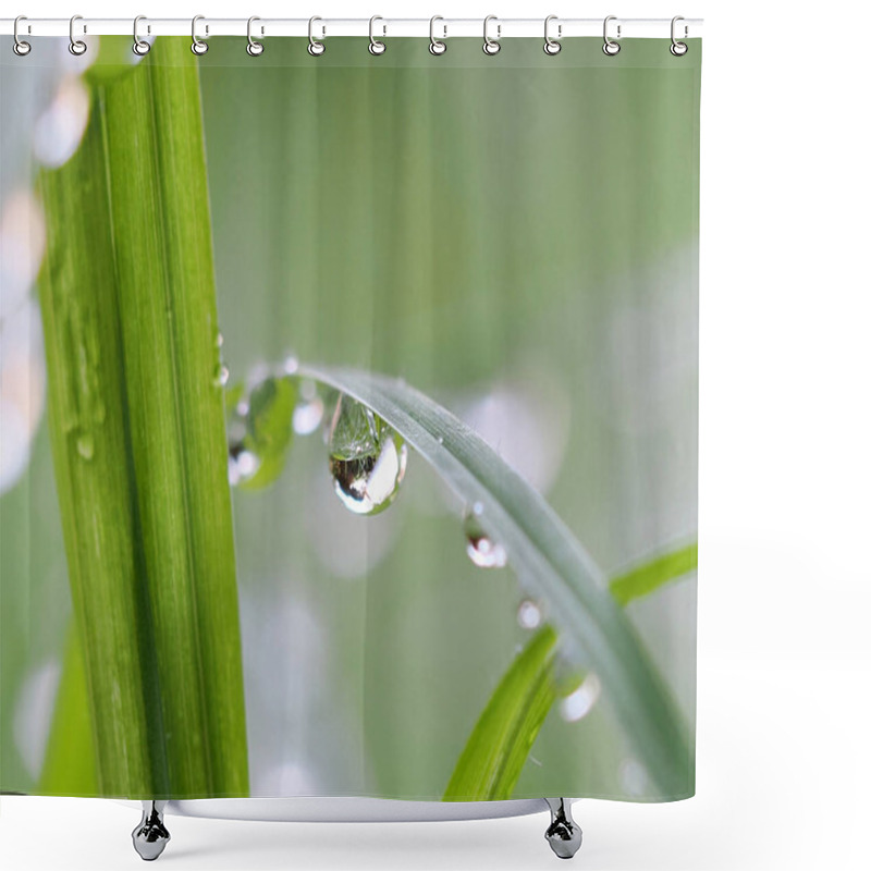 Personality  Drop Of Dew On A Green Blade Of Grass. Blurred Background. Shower Curtains