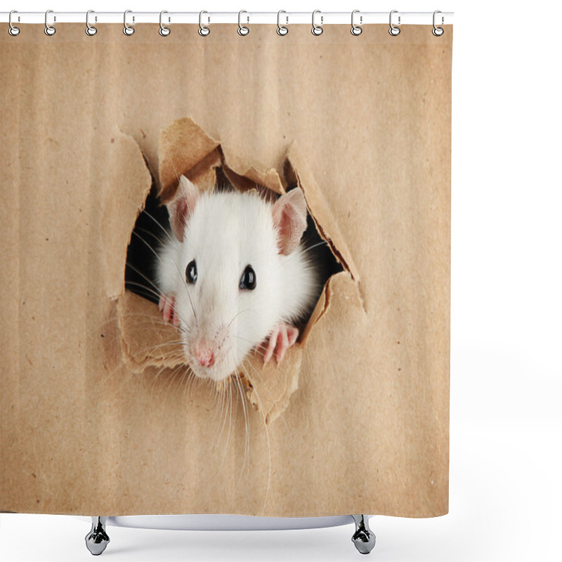 Personality  Funny Little Rat On Paper Background Shower Curtains