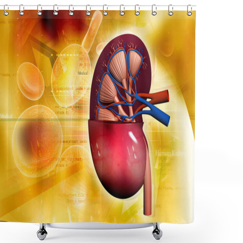 Personality  Human Kidney In Abstract Background Shower Curtains