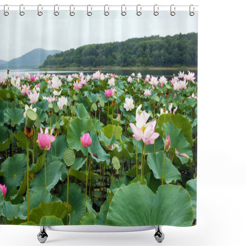 Personality  The Far Eastern Symbol Is The Beautiful Lotus. Shower Curtains