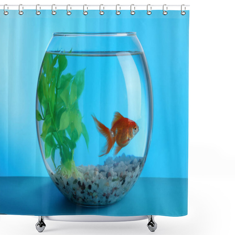 Personality  Beautiful Goldfish In Round Aquarium With Decorative Plant And Pebbles On Blue Background Shower Curtains