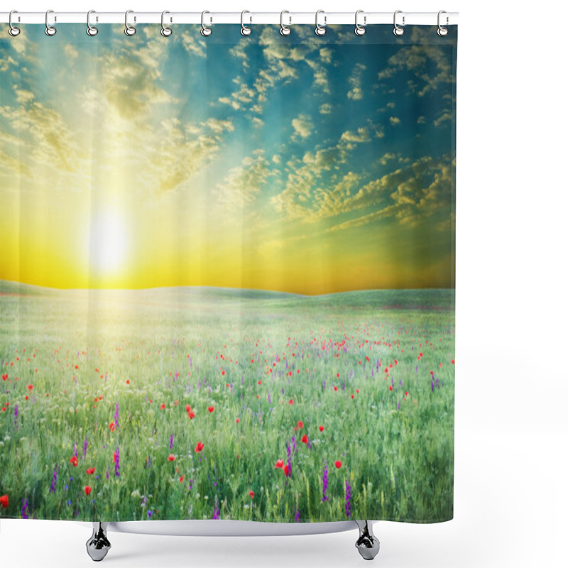 Personality  Spring Meadow Of Violet Flower. Shower Curtains