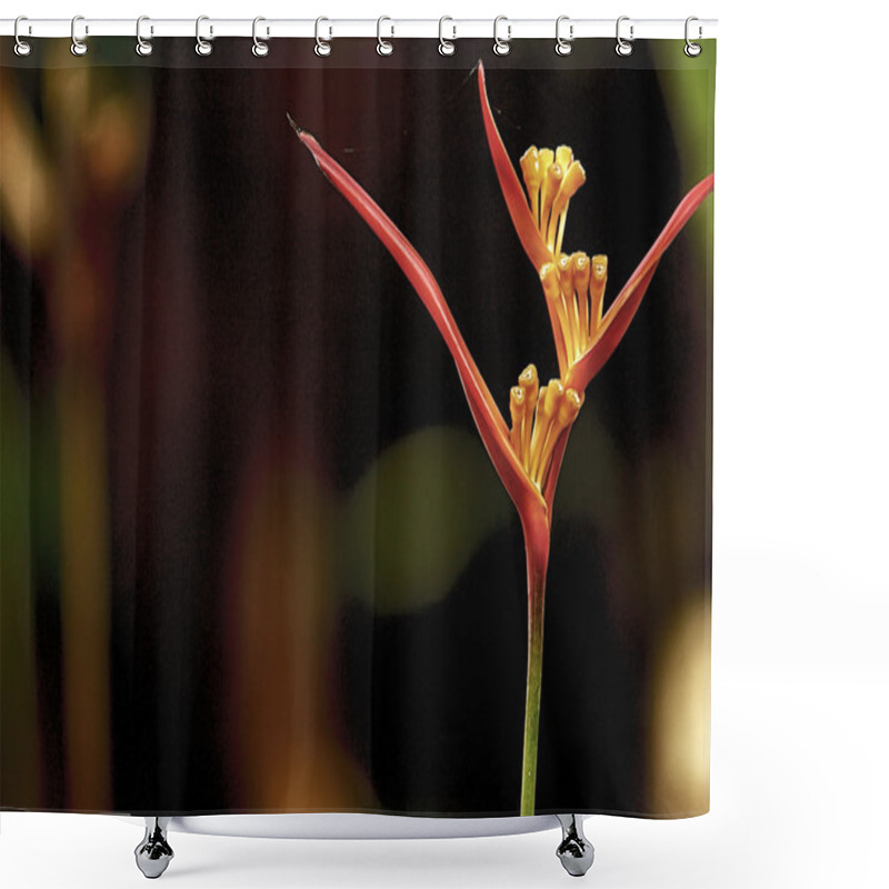 Personality  Heleconia Flower Shower Curtains