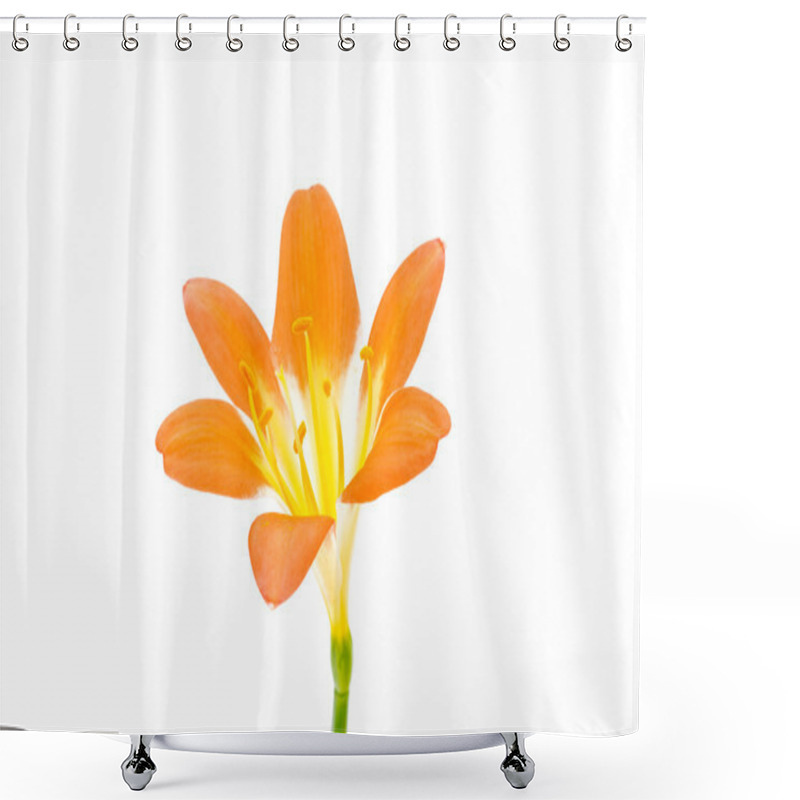 Personality  Flower From Clivia Amaryllis Shower Curtains