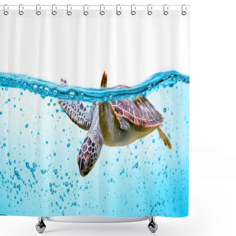 Personality  Sea Turtle Swims Under Water Isolated On White Shower Curtains