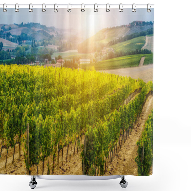 Personality  Vineyard Landscape In Tuscany, Italy. Shower Curtains