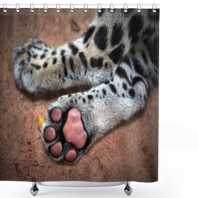 Personality  The Feet And Legs Of The Baby Leopard. Shower Curtains