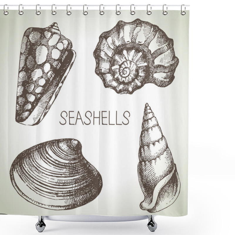 Personality  Hand Drawn Seashells Shower Curtains